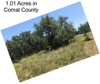 1.01 Acres in Comal County