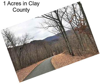 1 Acres in Clay County