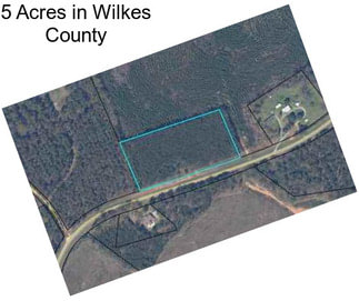 5 Acres in Wilkes County