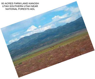 80 ACRES FARM LAND KANOSH UTAH SOUTHERN UTAH NEAR NATIONAL FORESTS ADL