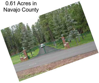 0.61 Acres in Navajo County