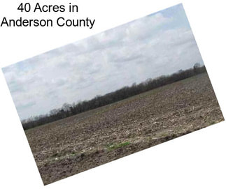 40 Acres in Anderson County