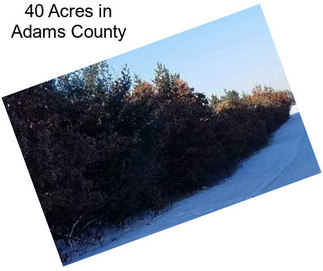 40 Acres in Adams County