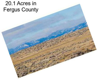 20.1 Acres in Fergus County