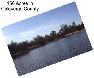 166 Acres in Calaveras County