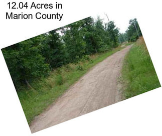 12.04 Acres in Marion County