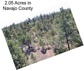 2.05 Acres in Navajo County