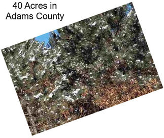 40 Acres in Adams County