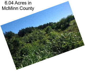 6.04 Acres in McMinn County