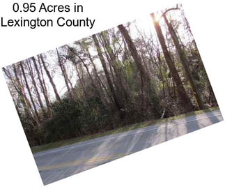 0.95 Acres in Lexington County