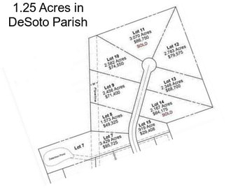 1.25 Acres in DeSoto Parish