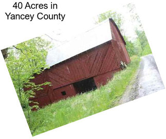 40 Acres in Yancey County