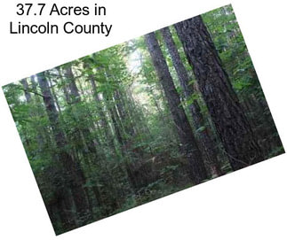 37.7 Acres in Lincoln County