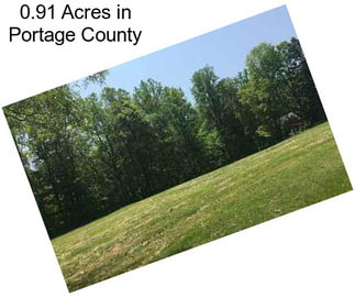 0.91 Acres in Portage County