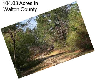 104.03 Acres in Walton County