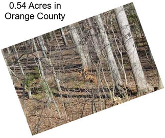 0.54 Acres in Orange County