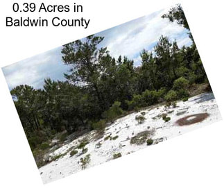 0.39 Acres in Baldwin County