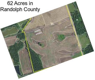 62 Acres in Randolph County