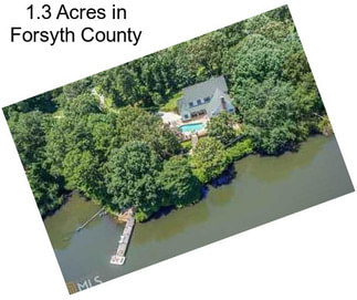 1.3 Acres in Forsyth County