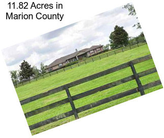 11.82 Acres in Marion County