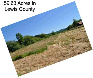 59.63 Acres in Lewis County