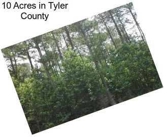 10 Acres in Tyler County
