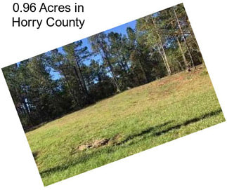 0.96 Acres in Horry County