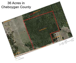 36 Acres in Cheboygan County