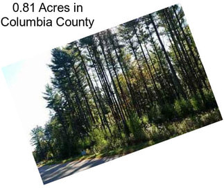 0.81 Acres in Columbia County