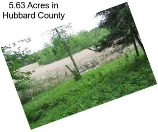 5.63 Acres in Hubbard County