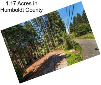 1.17 Acres in Humboldt County