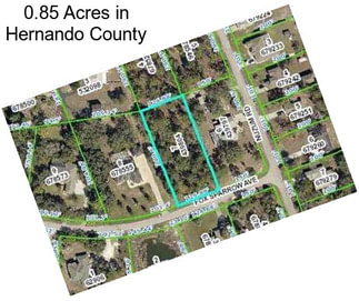 0.85 Acres in Hernando County