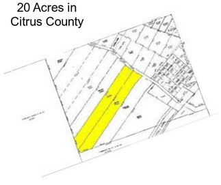 20 Acres in Citrus County