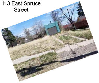 113 East Spruce Street