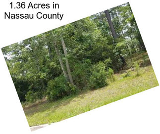 1.36 Acres in Nassau County