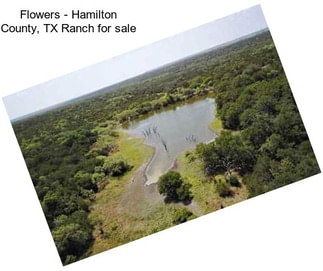 Flowers - Hamilton County, TX Ranch for sale