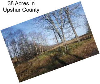 38 Acres in Upshur County