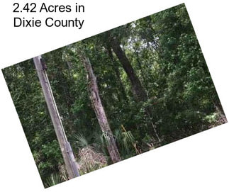 2.42 Acres in Dixie County