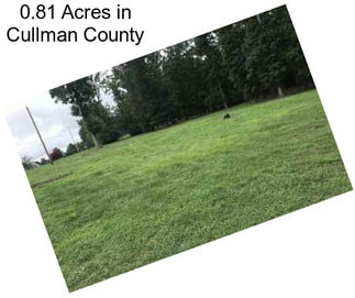 0.81 Acres in Cullman County