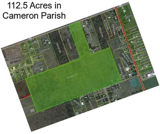 112.5 Acres in Cameron Parish