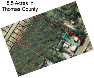 8.5 Acres in Thomas County