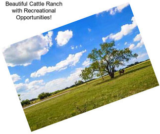 Beautiful Cattle Ranch with Recreational Opportunities!