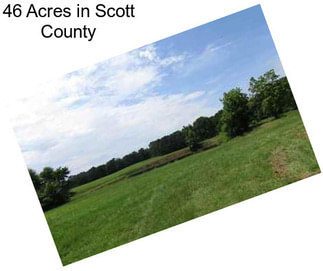 46 Acres in Scott County