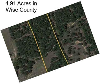 4.91 Acres in Wise County