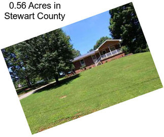 0.56 Acres in Stewart County