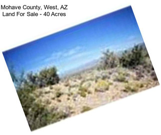 Mohave County, West, AZ Land For Sale - 40 Acres