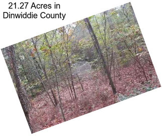 21.27 Acres in Dinwiddie County