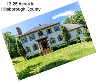 13.25 Acres in Hillsborough County