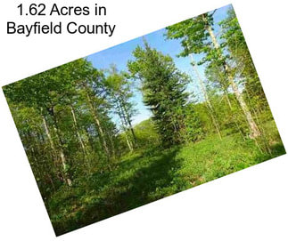 1.62 Acres in Bayfield County