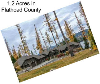 1.2 Acres in Flathead County